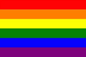 rainbow-gay-pride-flag-336-p